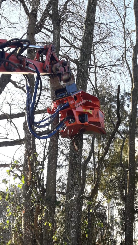 Bagger mit Holzfällgreifer