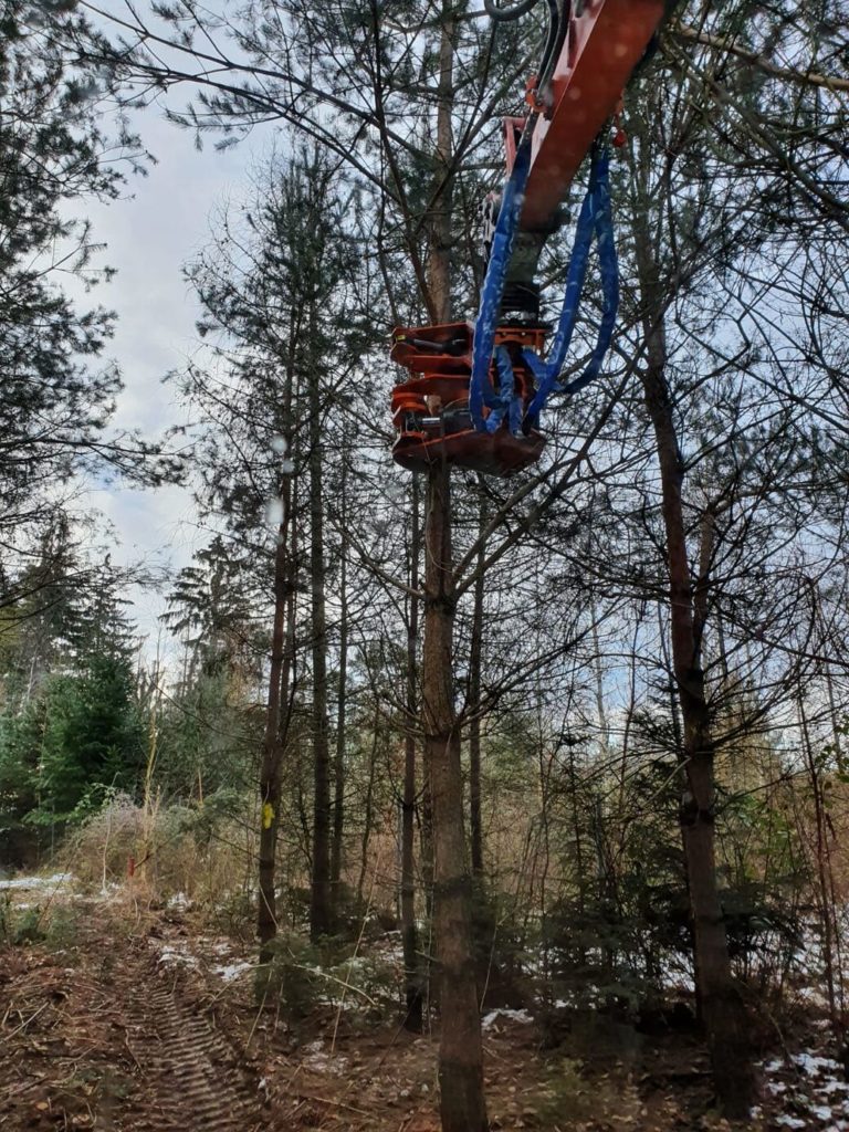 Bagger mit Holzfällgreifer