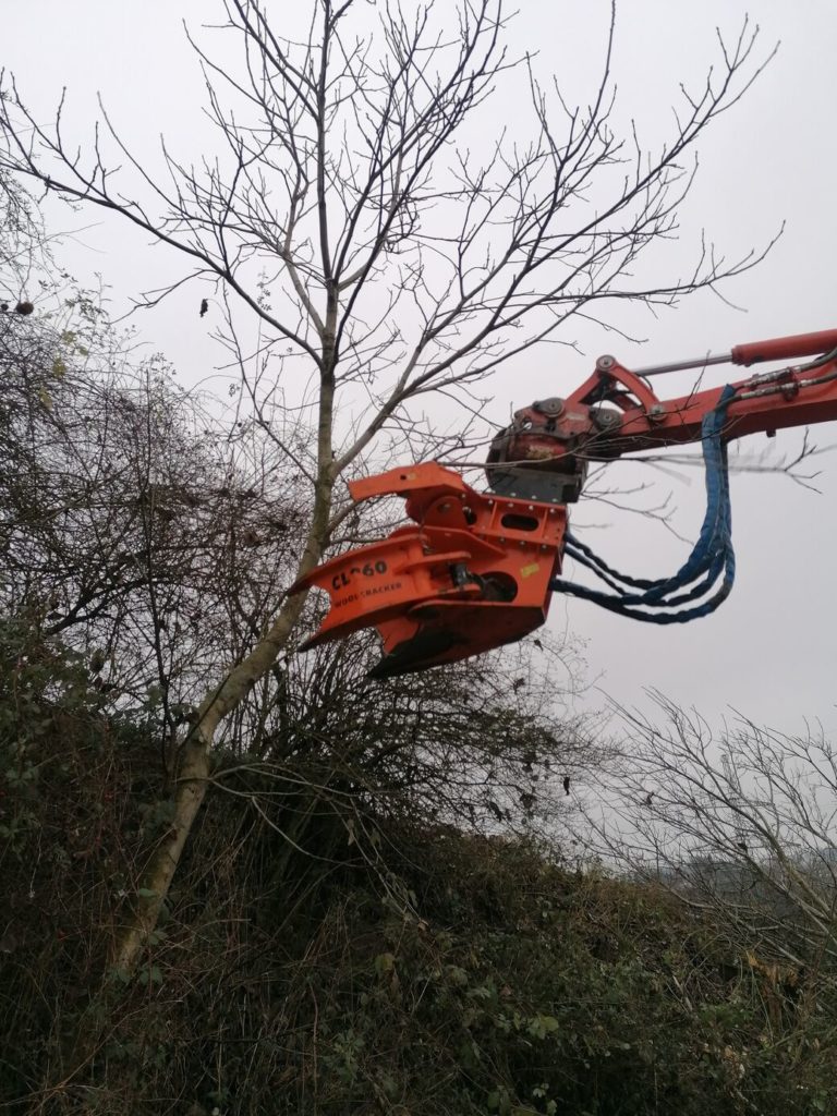 Bagger mit Holzfällgreifer